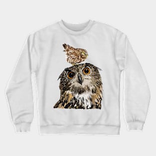 Nocturnal raptors Crewneck Sweatshirt